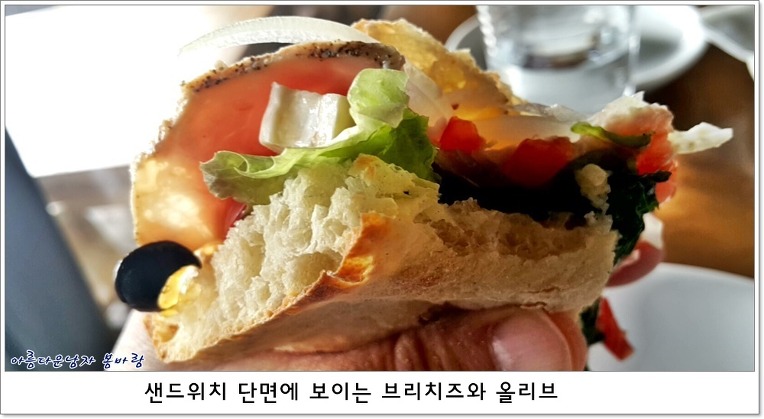 파라디소 이미지