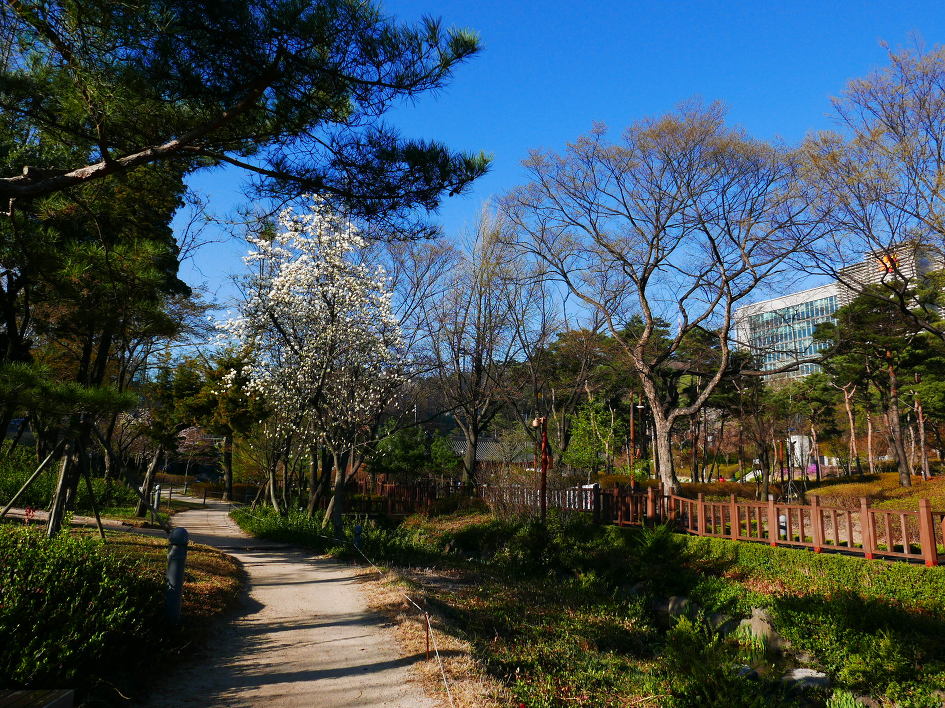 [서울/도심여행] 이른아침의 장충단공원 풍경입니다.