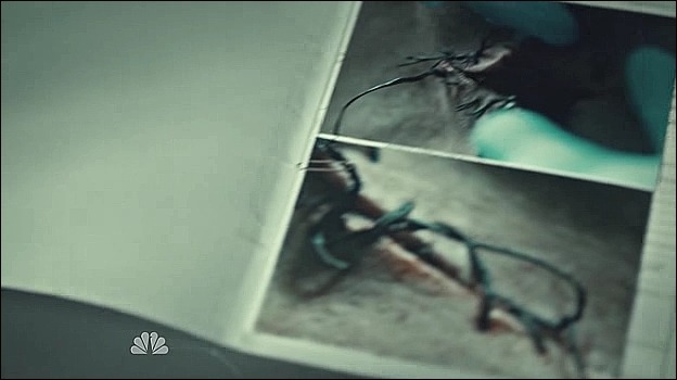 이젠홍콩인지욕망인지모르겠는미드 한니발(Hannibal) 시즌2 에피 4 Takiawase (3/3) (여러가지로주의) | 인스티즈