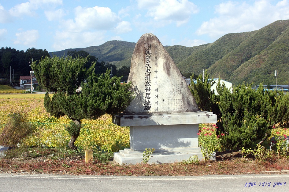 이담리 이미지