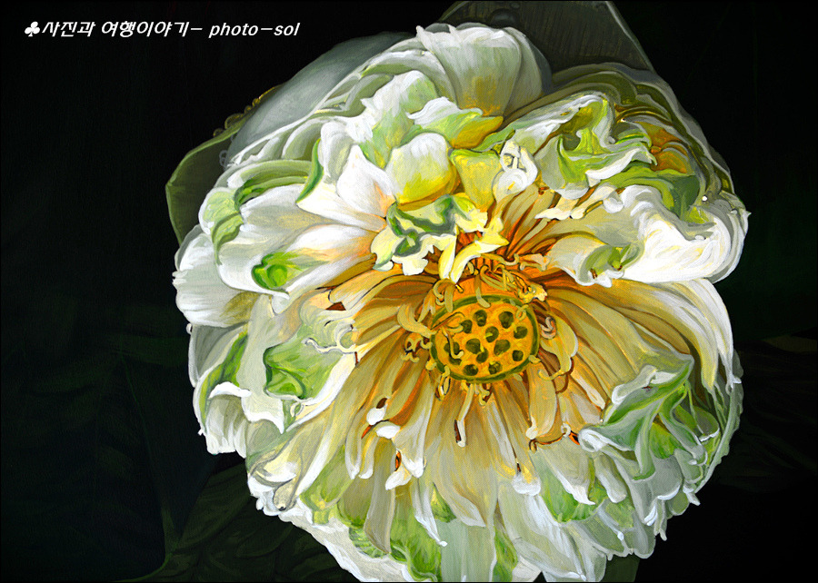 2564FB345128D2AB2A4883