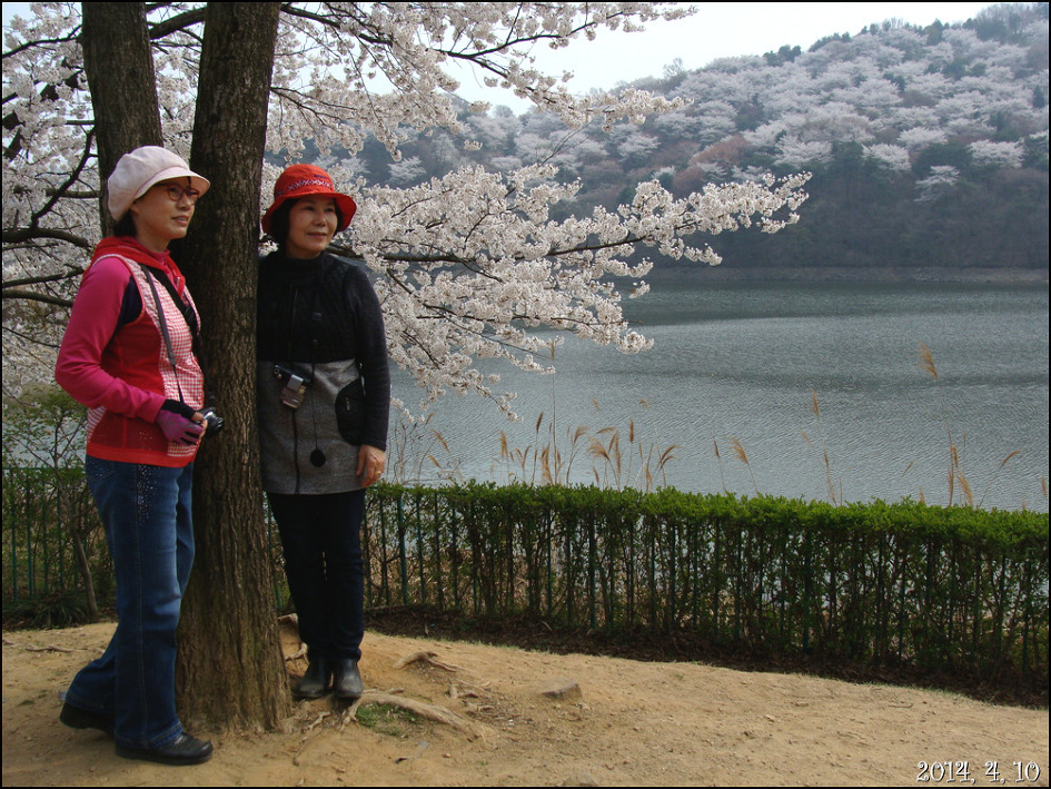 오랜만에 친구와 함께 한 나들이 용인 호암 미술관 희원/2014, 4, 10