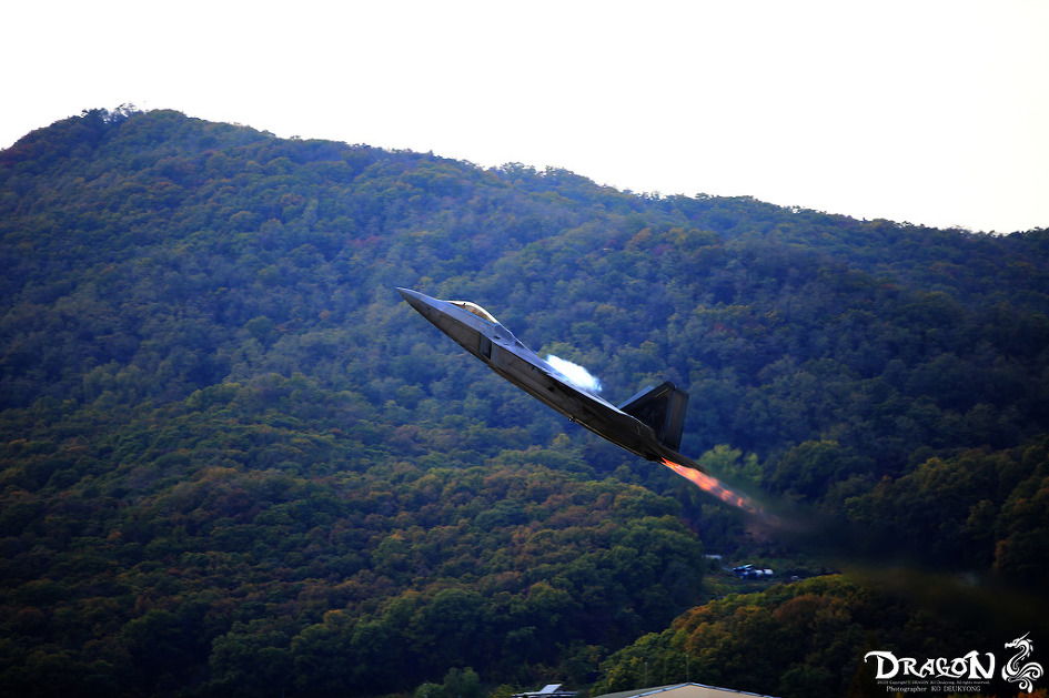 F-22 랩터 (서울ADEX2015)