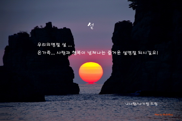 설