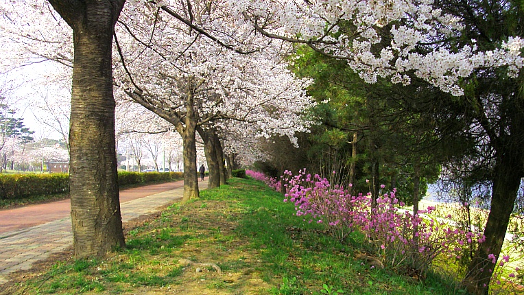 263A8A3F551902B810E8AB