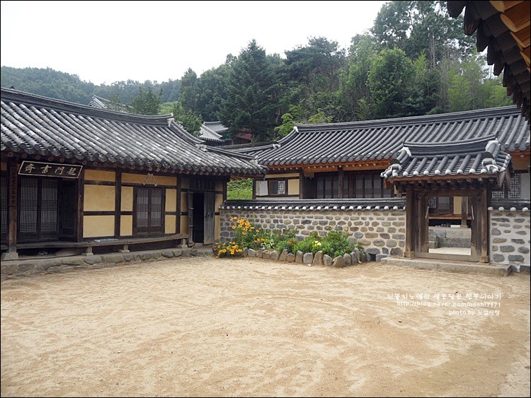 공주여행 베리베리팜 블루베리농장 체험하고 용문서원 구경