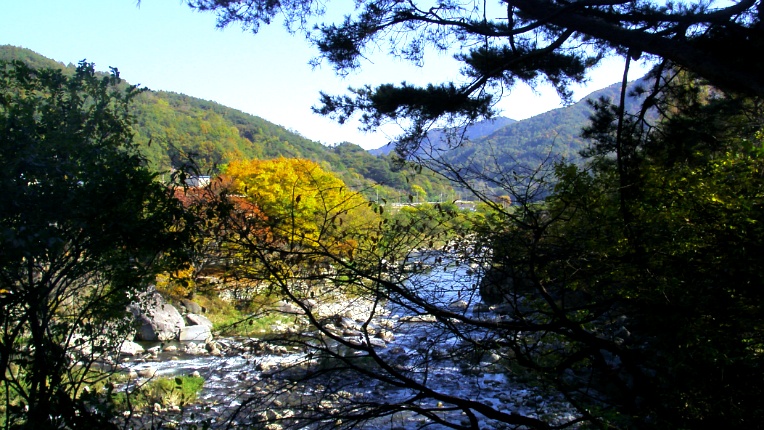 2648FC4F544B84B509EEF2