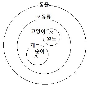 외연과 내연의 비대칭성: 집합론적 해석