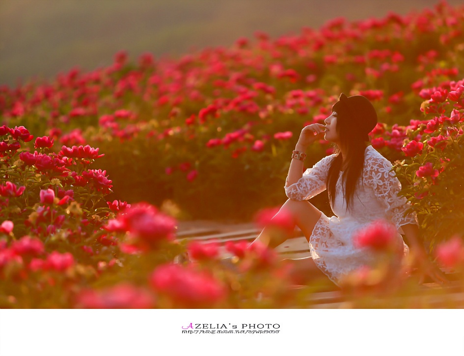 나의오월은....사진은 추억이다