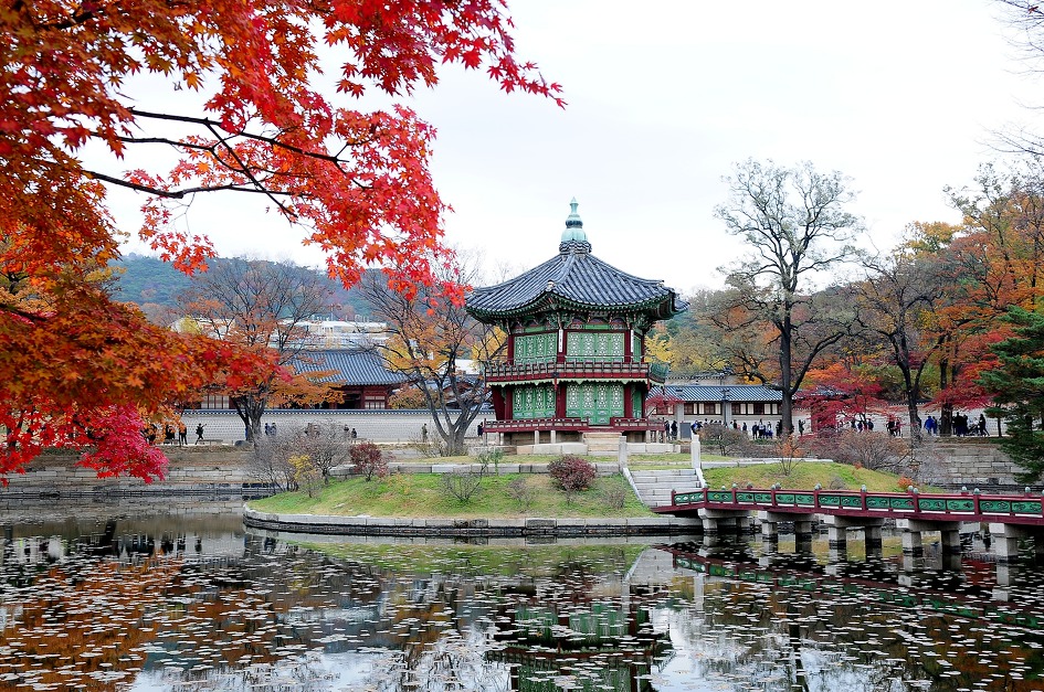 늦가을 경복궁에서