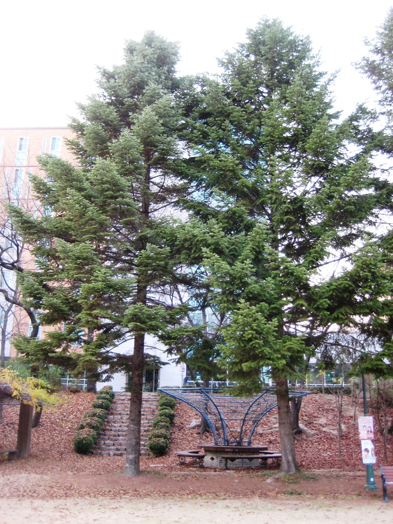 27097F425650974129CC5D