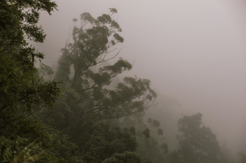  헤어질 때 더 다정한 쪽이 덜 사랑한 사람이다 | 인스티즈