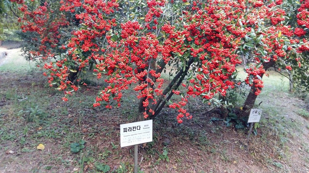제주가좋다 이미지