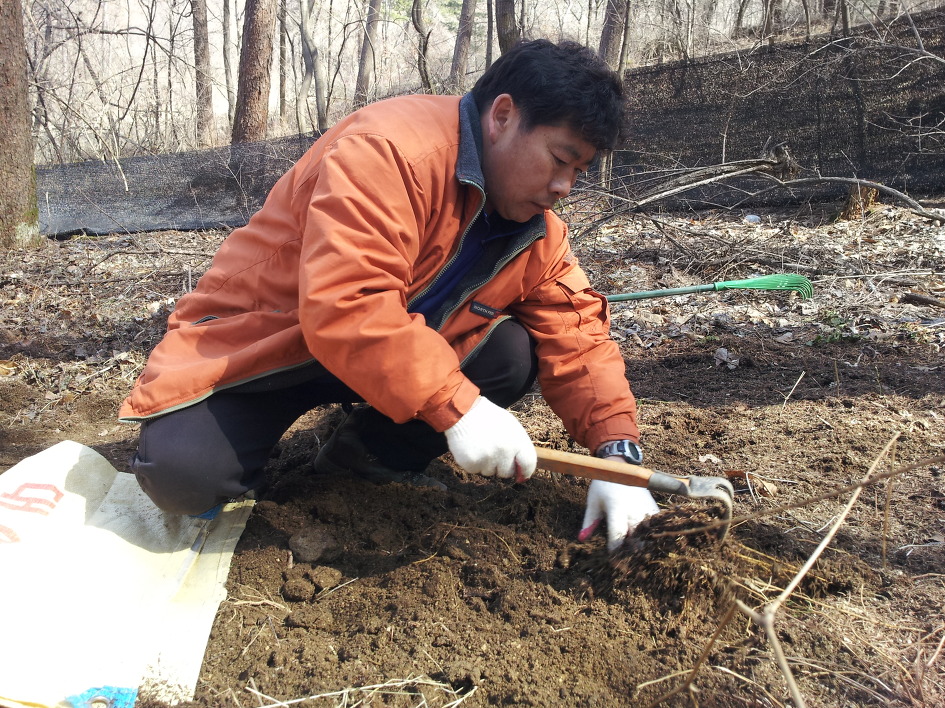 천사농장 이미지