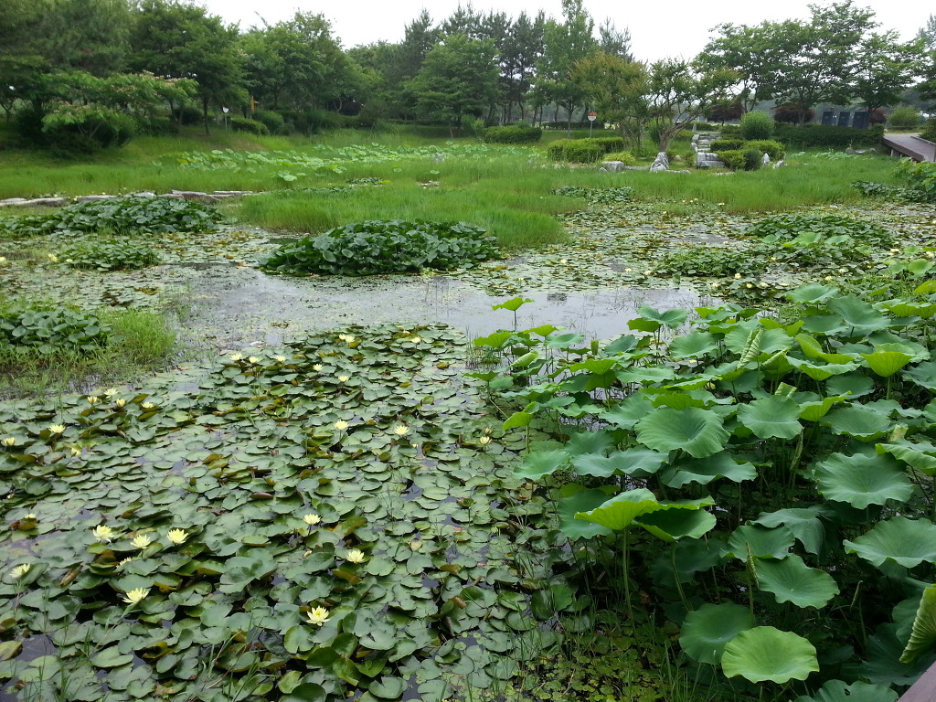 광주의 뚝섬 송산유원지를 가다
