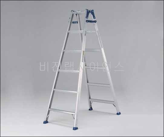 사다리,LADDER