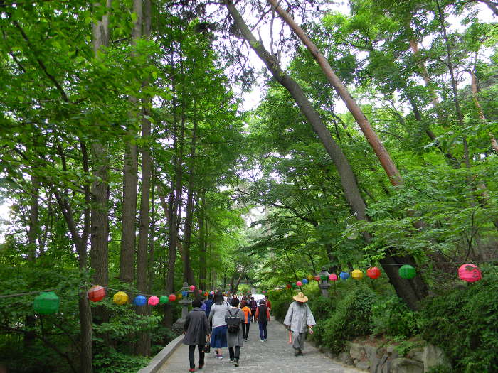 정릉동 경국사 마무리 ~~~ (천태성전, 독성탱, 산신탱, 영산전, 경국사 숲길)