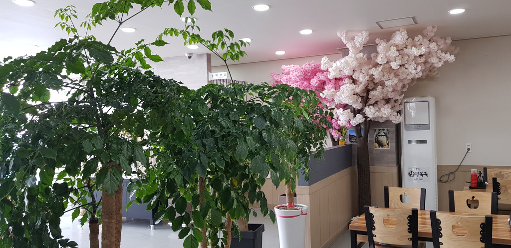 남해 물회2018