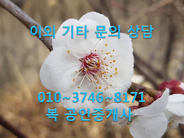 ※대전 당구장임대  대전 도안 목원대 당구장 상가임대 