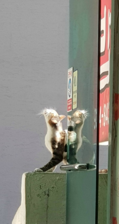 2018-10-31 수요일