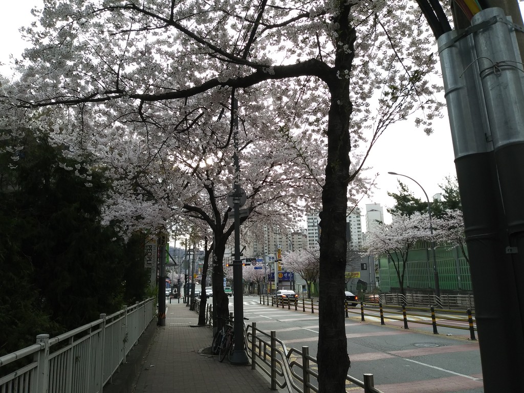 19.4.9(화)