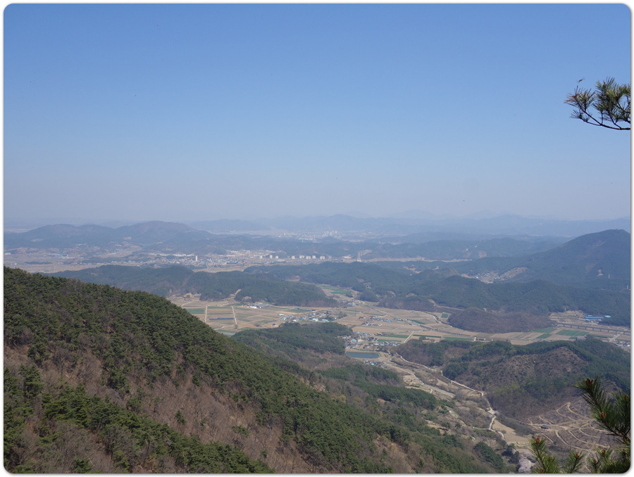 솔숲속 진달래 절정의 진주.작은 방어산~괘방산