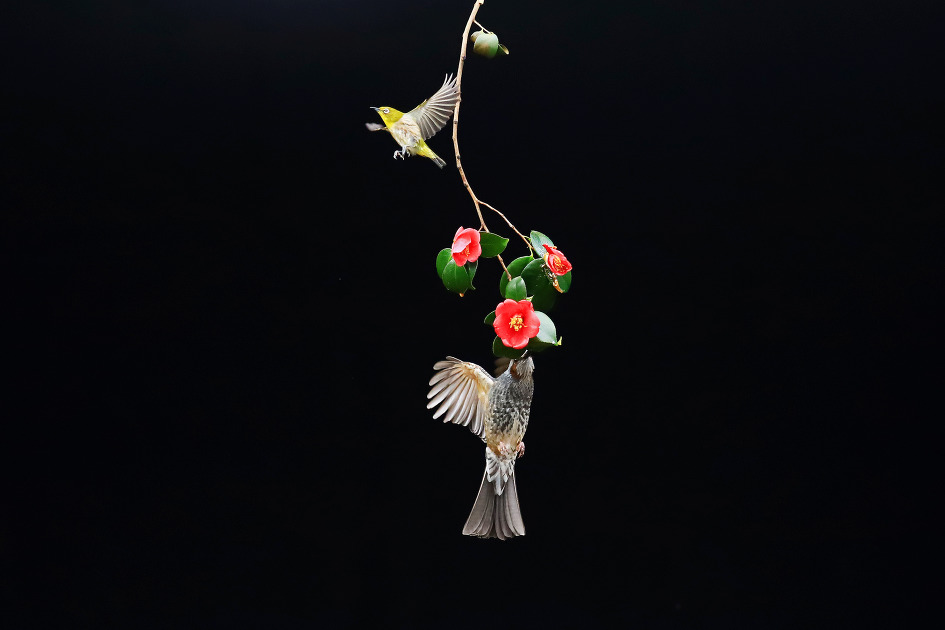 기선제압 (2019.03.06.수)