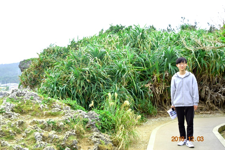 손주와(일본) 오키나와를가다 