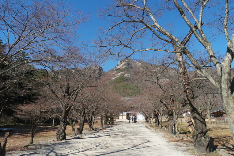 내변산 산행
