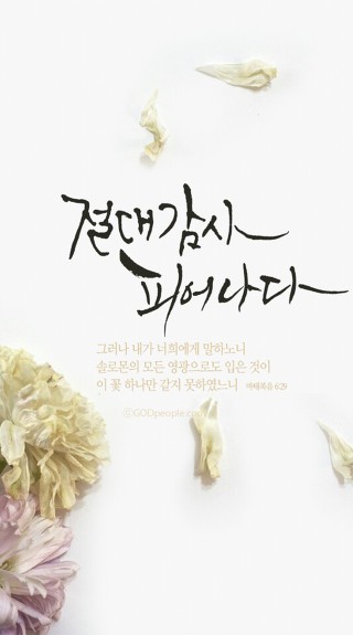 신명기 3장 두 지파 반의 요구(바산 왕)