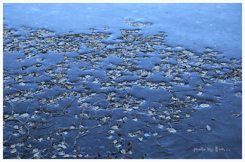 봄맞이 나들이... 경기 광주 중대물빛공원... 2019, 02, 13