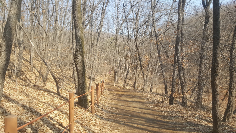 도봉옛길~방학동길 걷기/2019.02.24