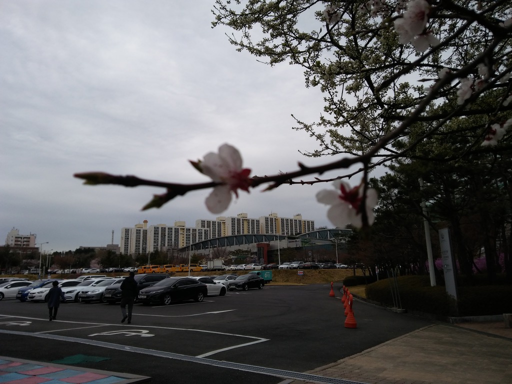 2019       4 월    9  일      