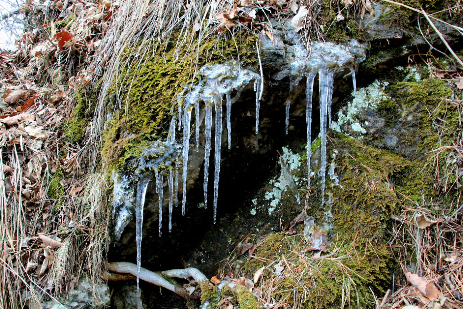 괴산 군자산 산행 (2019.3.23)