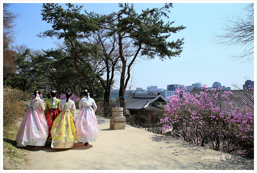 창경궁의 봄 풍경... 2019, 04, 04