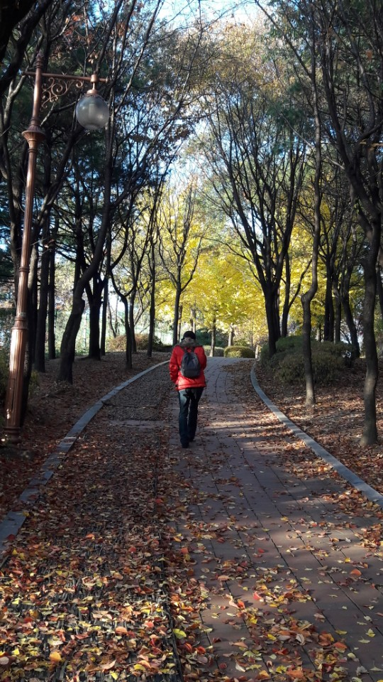 ^*^  가을은 ? ^*^