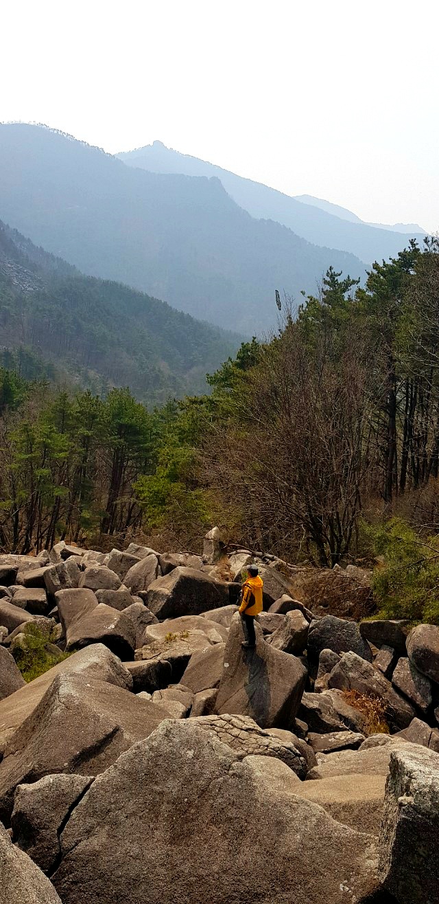 비슬산(琵瑟山) 암괴류((岩塊流) 트레킹