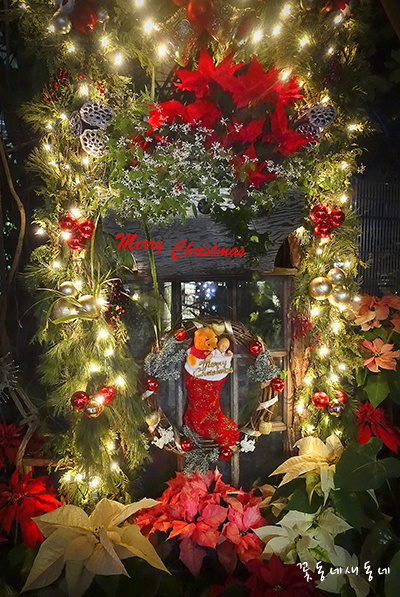 12월의 촛불 기도