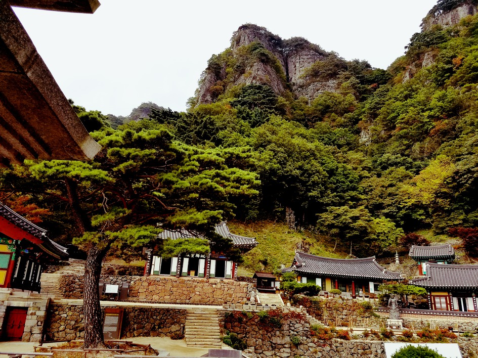 30년만에 모국 방문 31 – 봉화 청량사