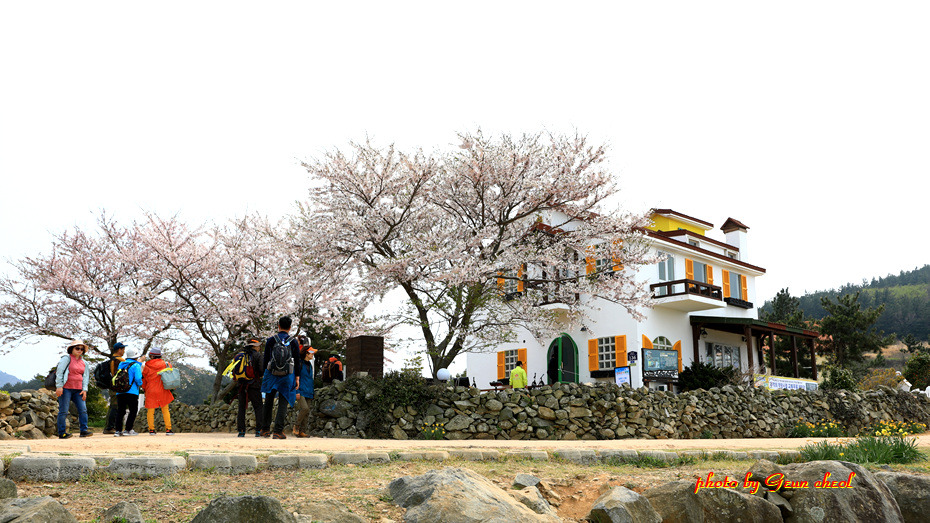 느림의 쉼표..청산도..2019.04.07 