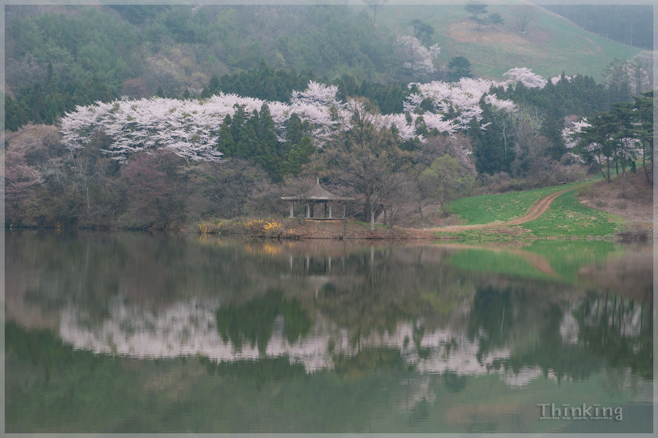 용비지