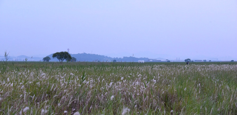수섬