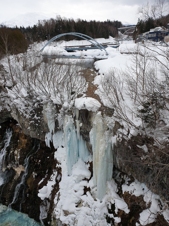 홋카이도(北海道)삿포로자유여행 삿포로 비에이 탁신관 준페이(새우덮밥) 흰수염폭포 