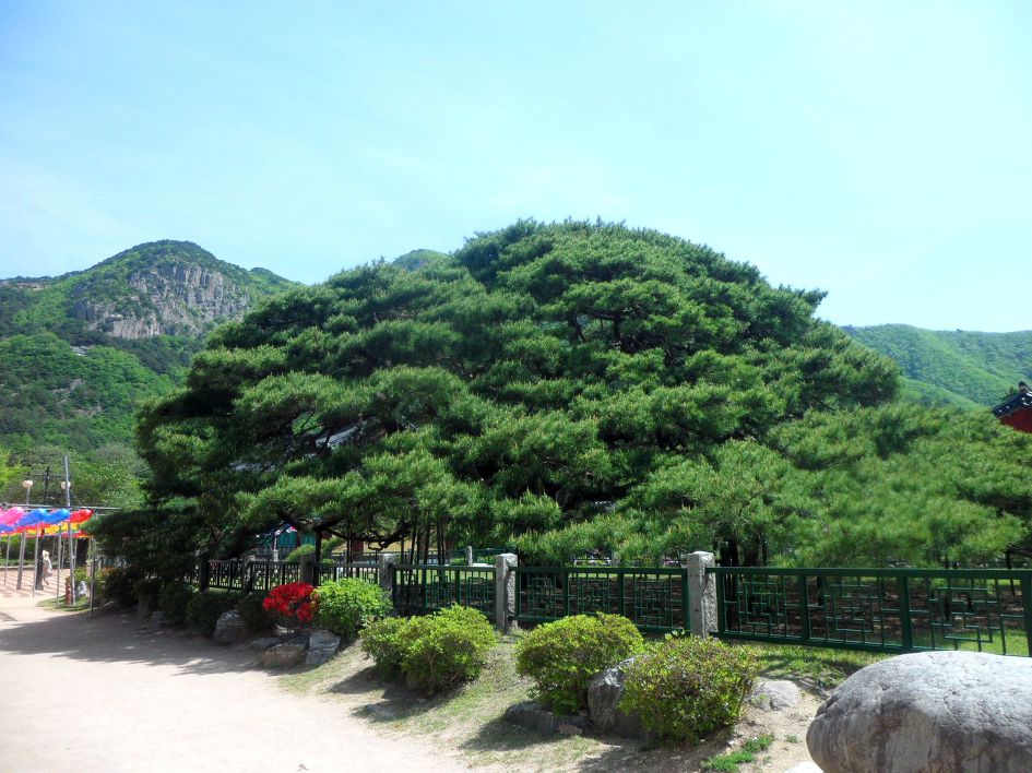 운문사 사리암 2018-05-05