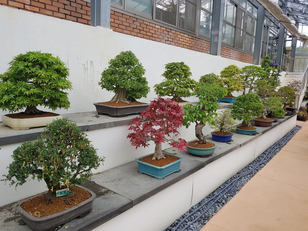 선지지견학