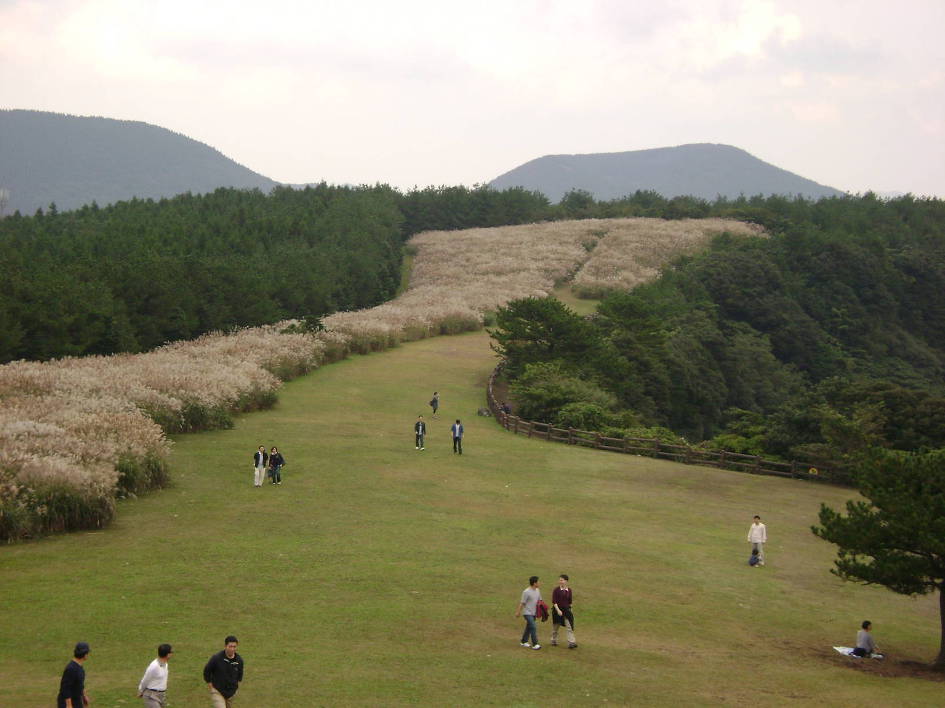 제주도 여행