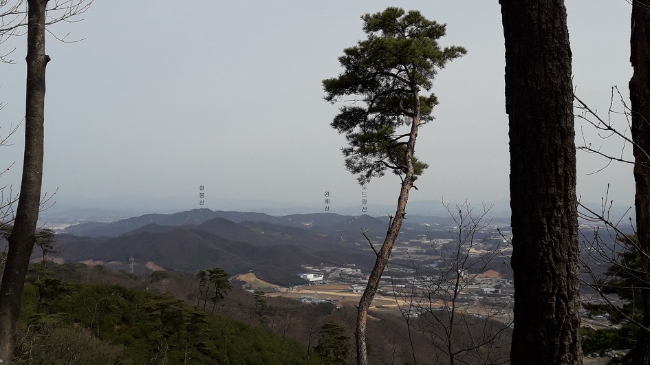 광주 태화산 미역산지나 섭산 웃골산 산길(2019년4월7일)