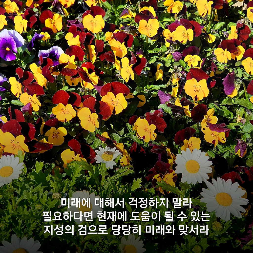 벗의 가면을 쓴 사악한 사람과 