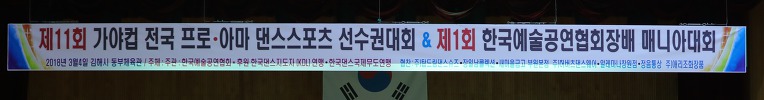 제11회 가야컵&제1회 한국예술공연협회장배//[발레리오콜란토니&모니카니그로]블렉플파이널리스트 세계4위(이태리)