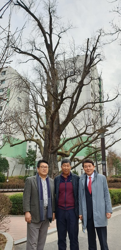 방학동 은행나무집 참 봉평모밀﻿